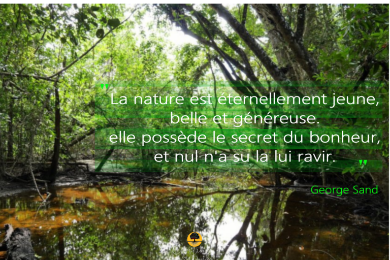 La Nature Est Ternellement Jeune Belle Et G N Reuse Citations