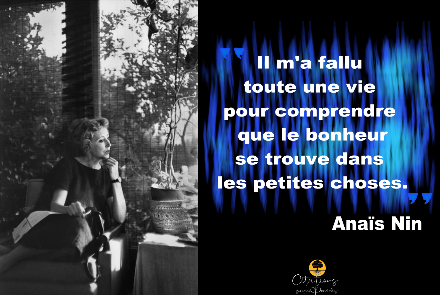 Il M A Fallu Toute Une Vie Pour Comprendre Citations Proverbes Et