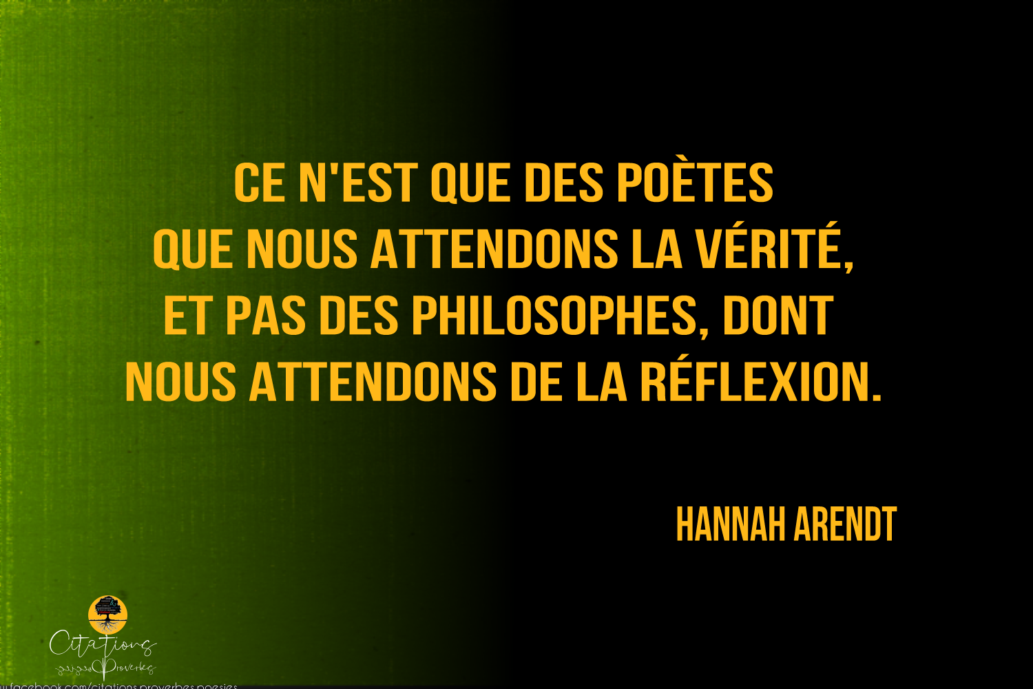 Top Citations Hannah Arendt Citations Proverbes Et Po Sies