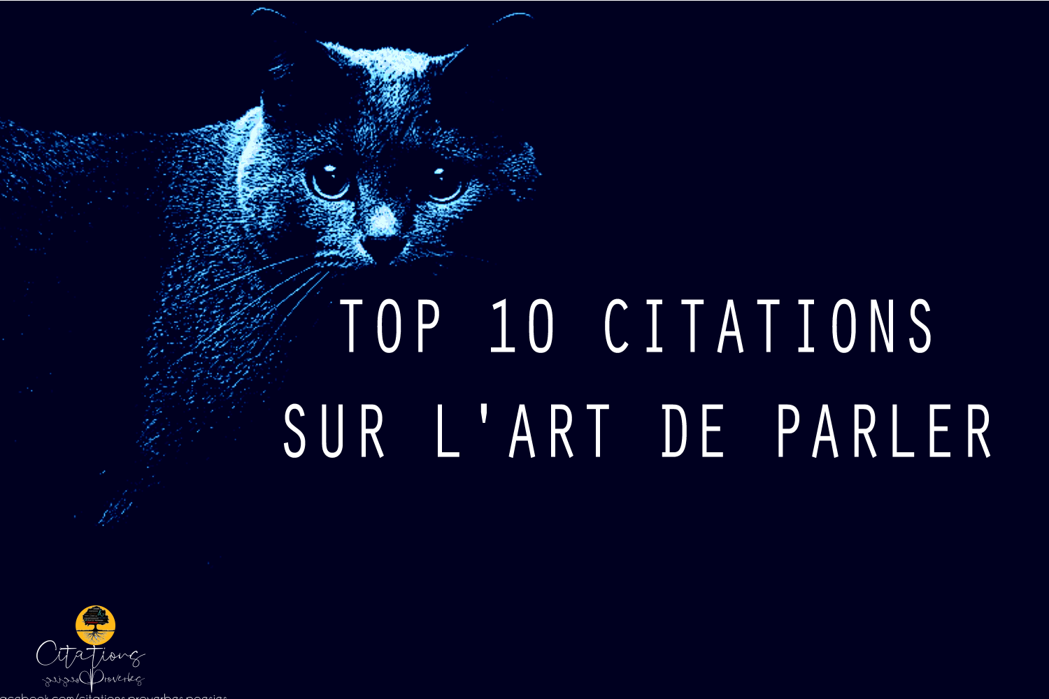 Top Citations Sur L Art De Parler Citations Proverbes Et Po Sies