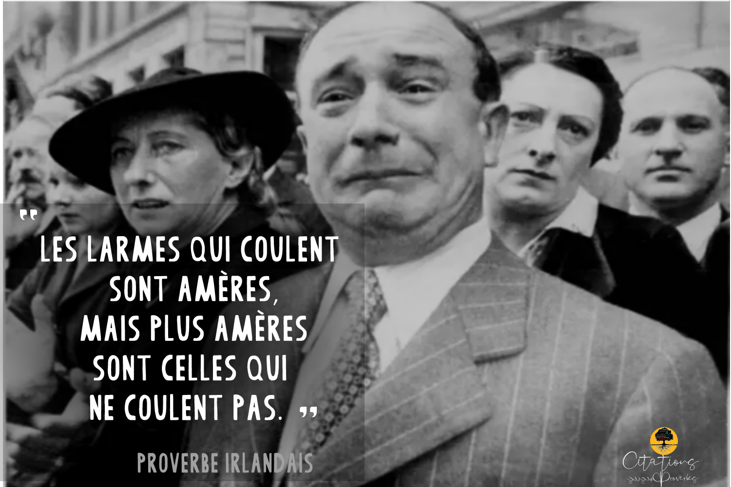 Les Larmes Les Plus Ameres Citations Proverbes Et Poesies