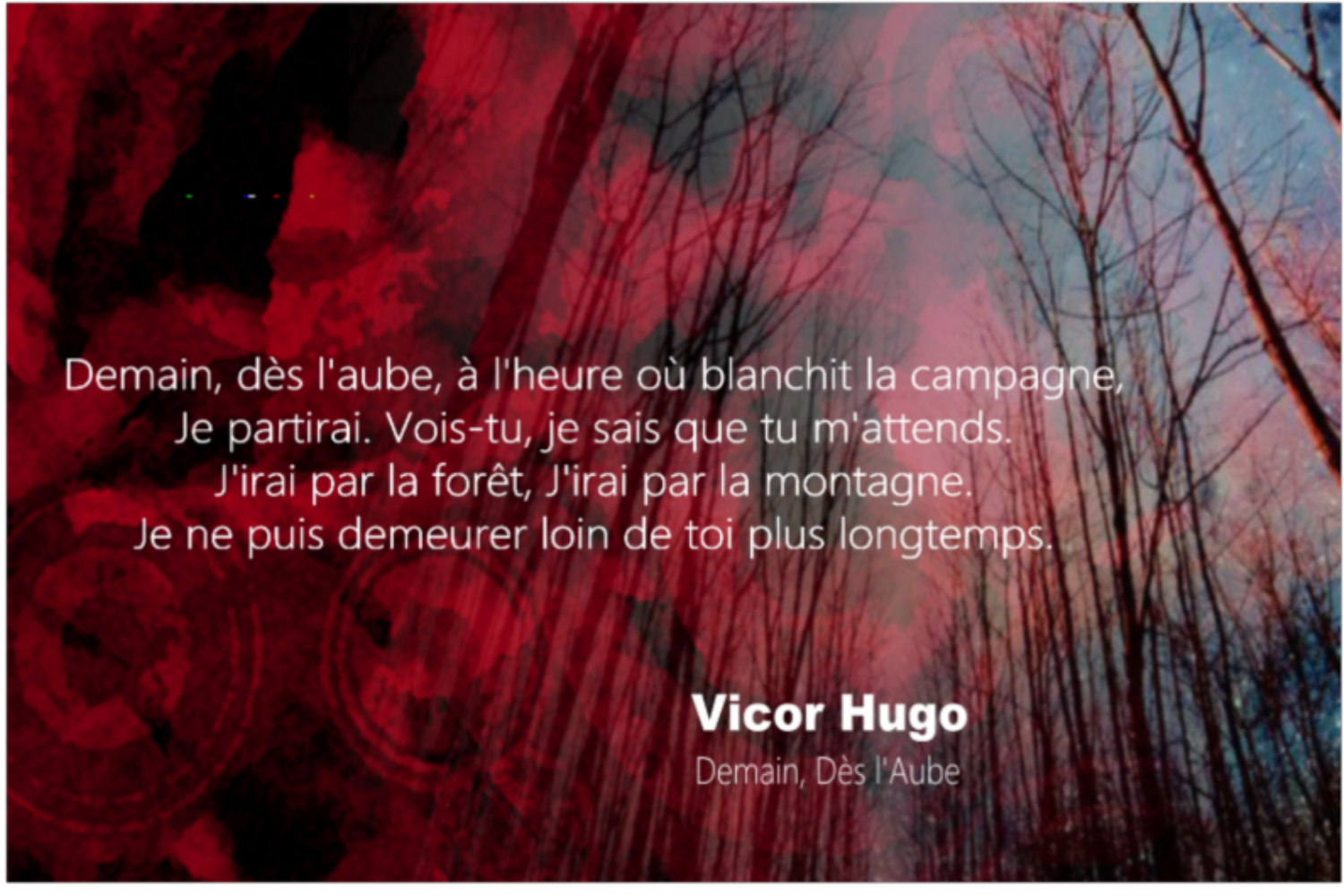 Demain Des L Aube Victor Hugo Citations Proverbes Et Poesies