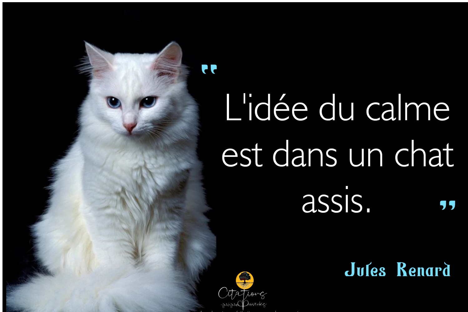 L Idee Du Calme Citations Proverbes Et Poesies