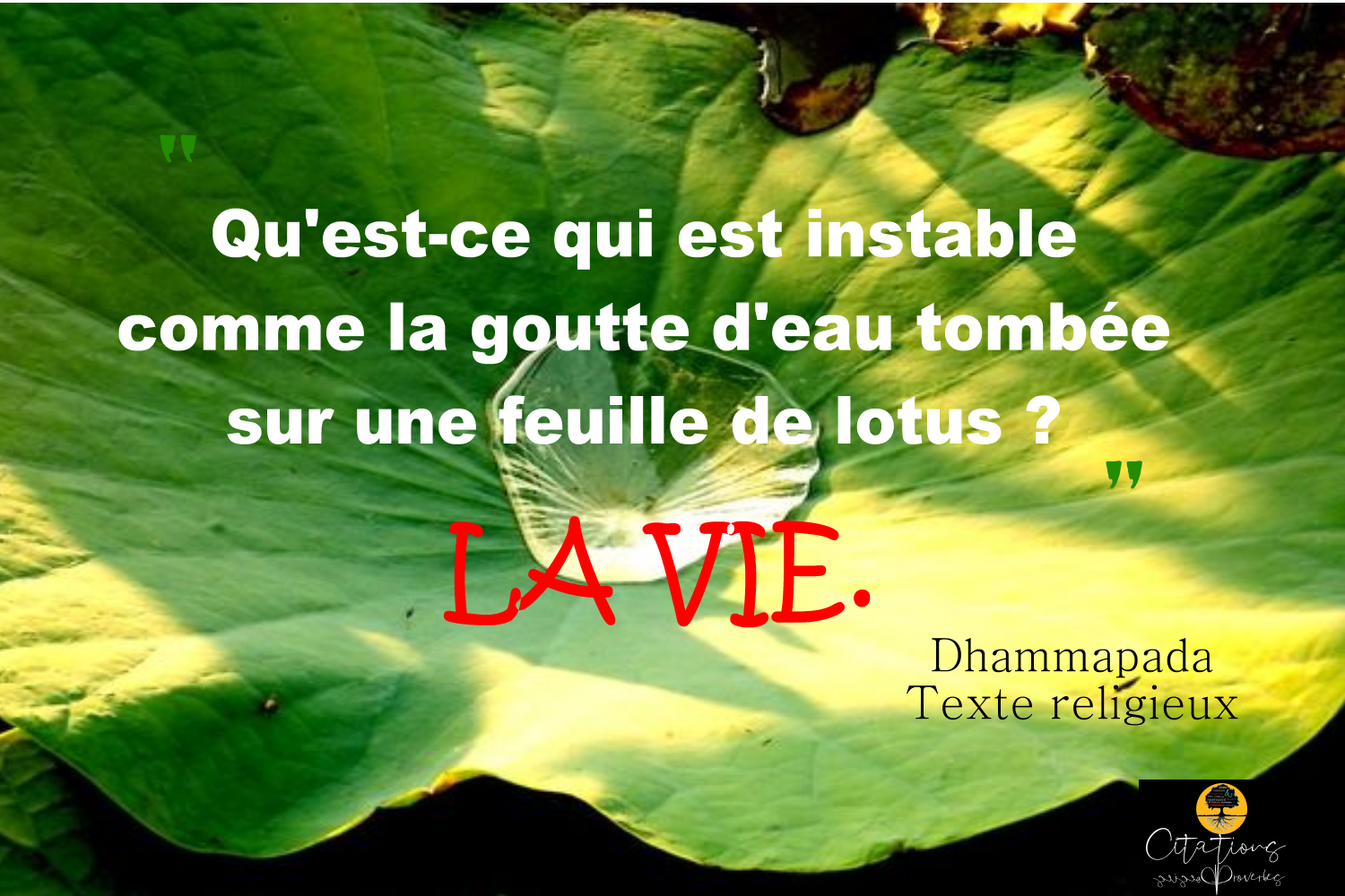 L Instable Vie Citations Proverbes Et Poesies