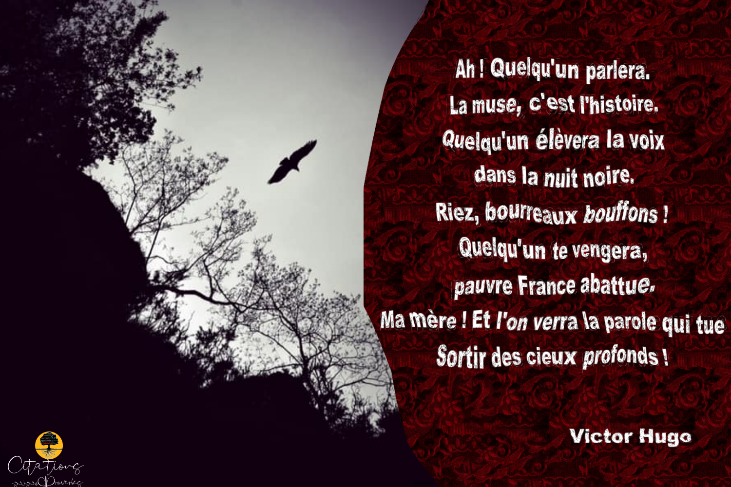 La Muse C Est L Histoire Citations Proverbes Et Poesies