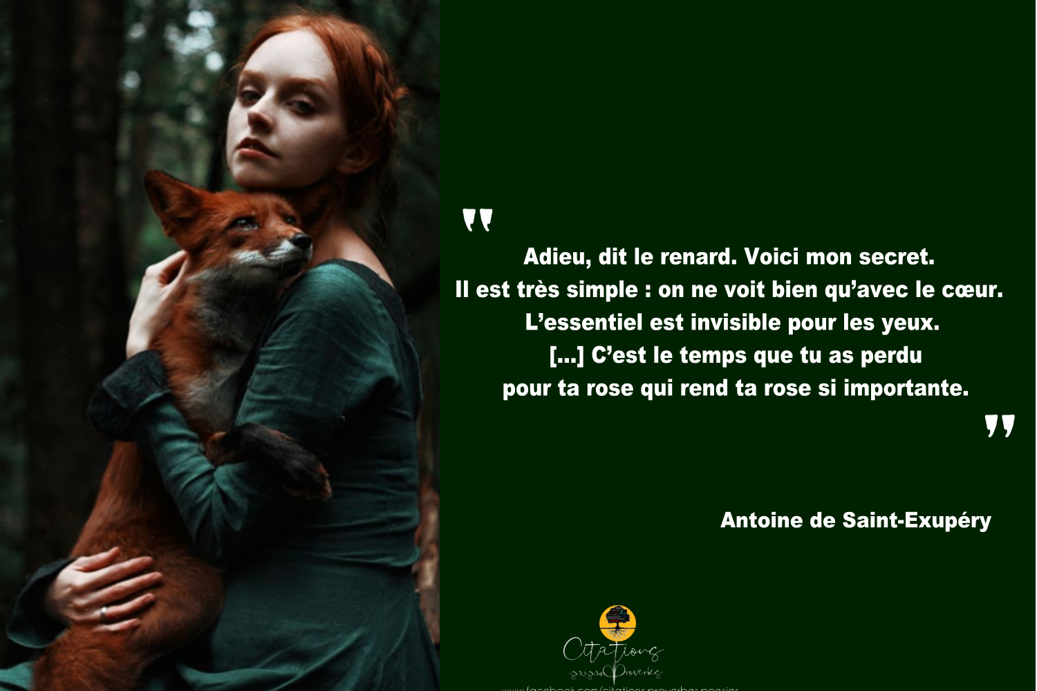 Adieu Dit Le Renard Voici Mon Secret Citations Proverbes Et Poesies