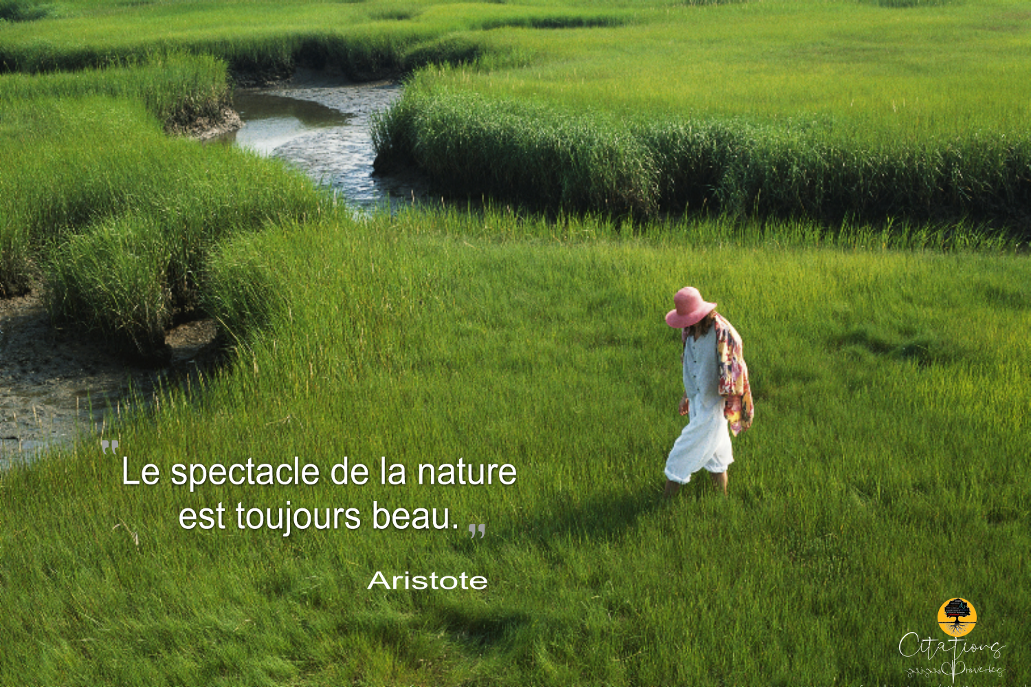 Le spectacle de la nature est toujours beau. Citations Le spectacle de la nature est toujours beau. Citations