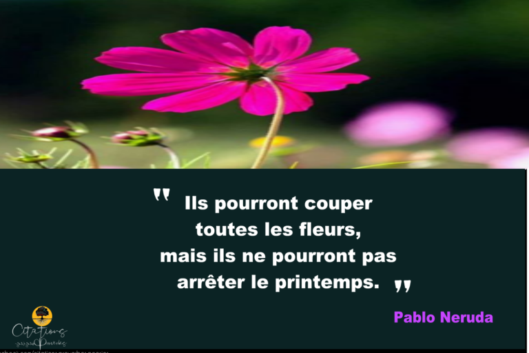 ils-pourront-couper-toutes-les-fleurs-mais-ils-ne-pourront-pas-arr-ter