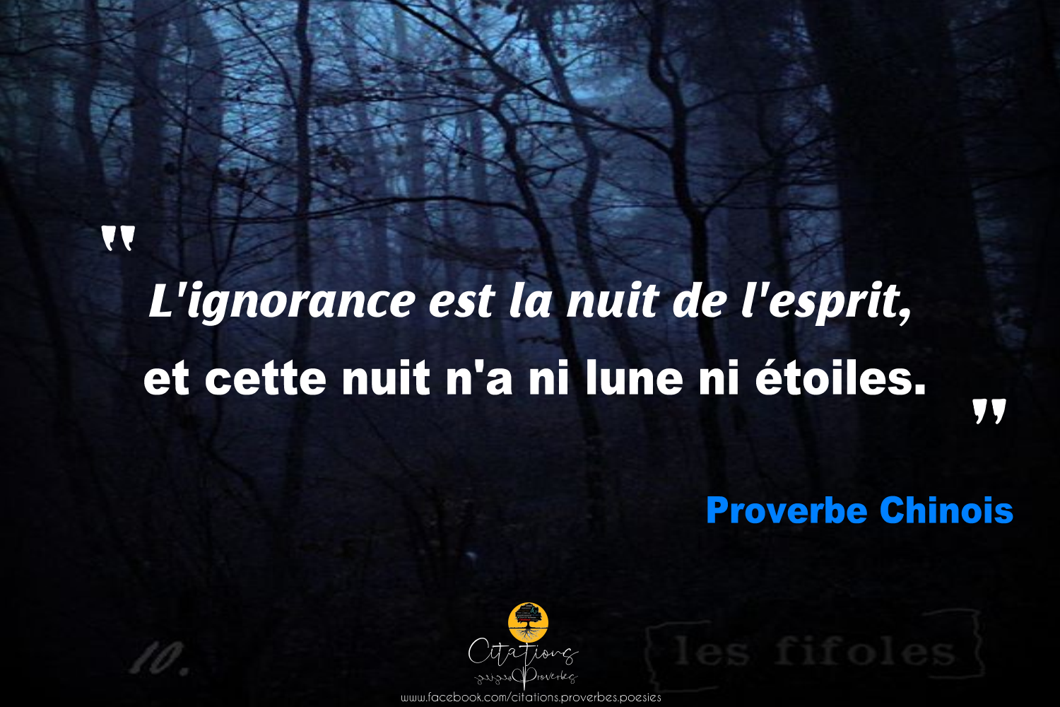 L Ignorance Est La Nuit De L Esprit Citations Proverbes Et Poesies