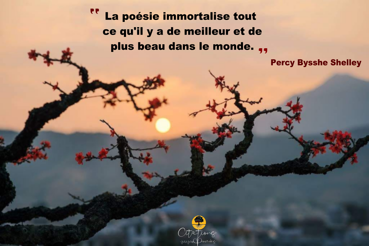 La Poesie Immortalise Tout Ce Qu Il Y A De Meilleur Et De Plus Beau Dans Le Monde Citations Proverbes Et Poesies