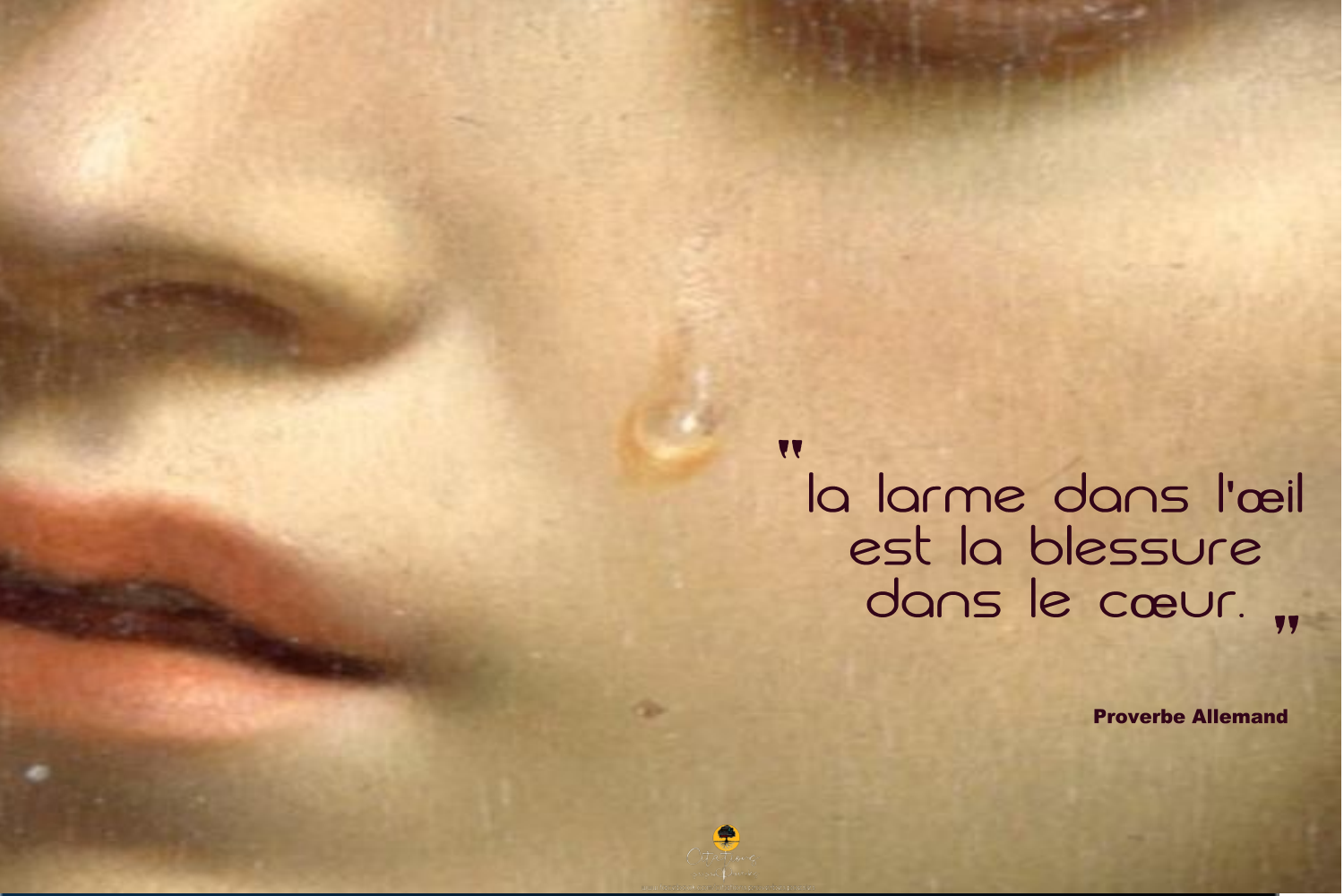 La Larme Dans L œil Est La Blessure Dans Le Cœur Citations Proverbes Et Poesies