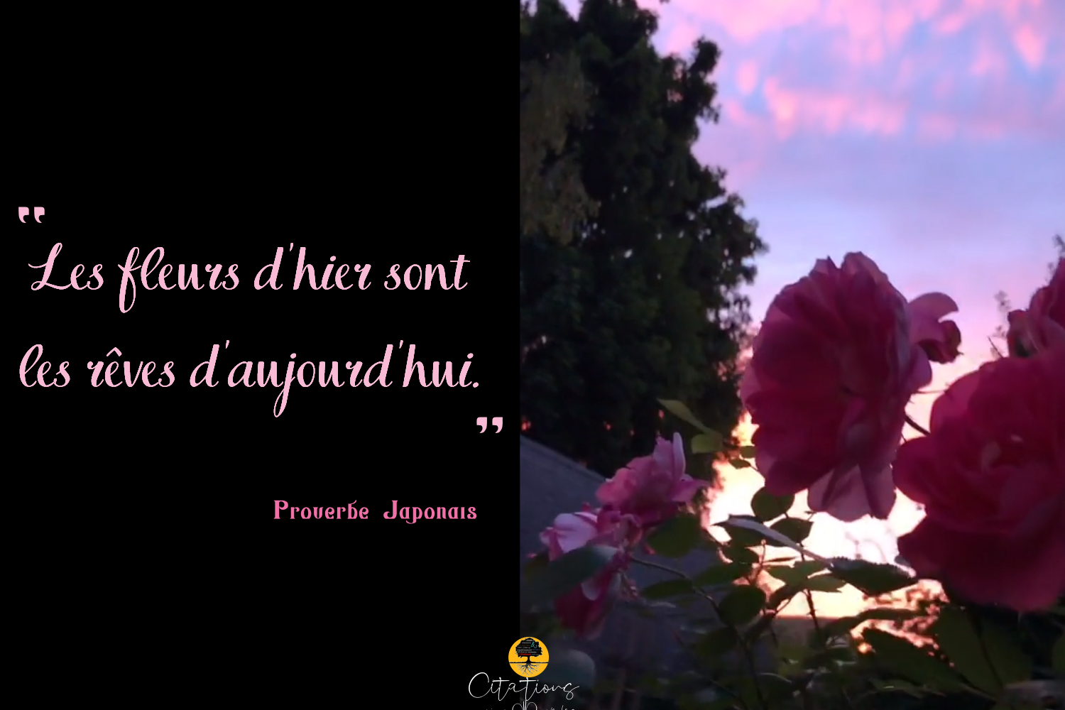 Les fleurs d�hier sont les rêves d�aujourd�hui