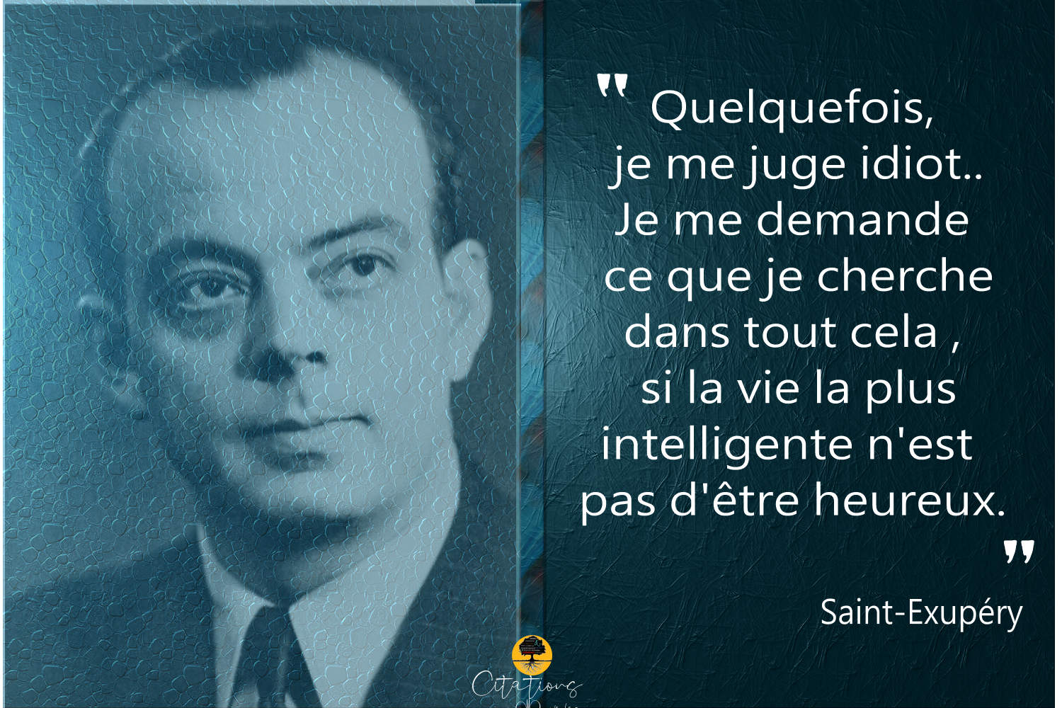 Quelquefois Je Me Juge Idiot Je Me Demande Ce Que Je Cherche Dans Tout Cela Citations Proverbes Et Poesies