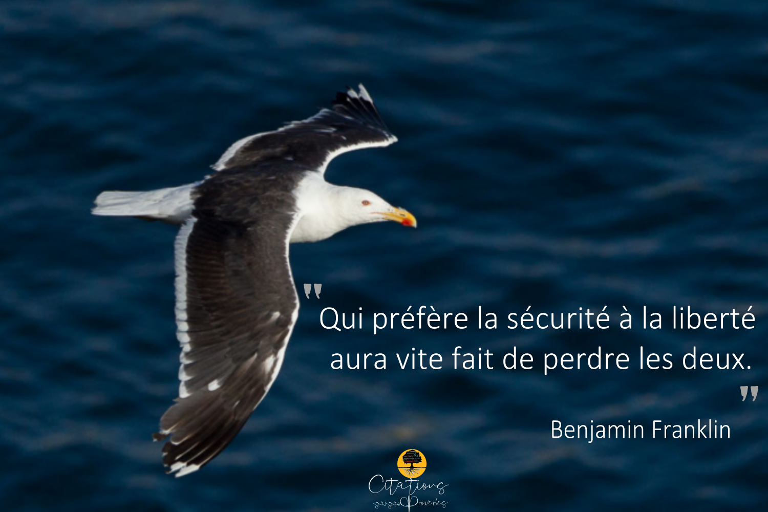 Qui Prefere La Securite A La Liberte Aura Vite Fait De Perdre Les Deux Citations Proverbes Et Poesies