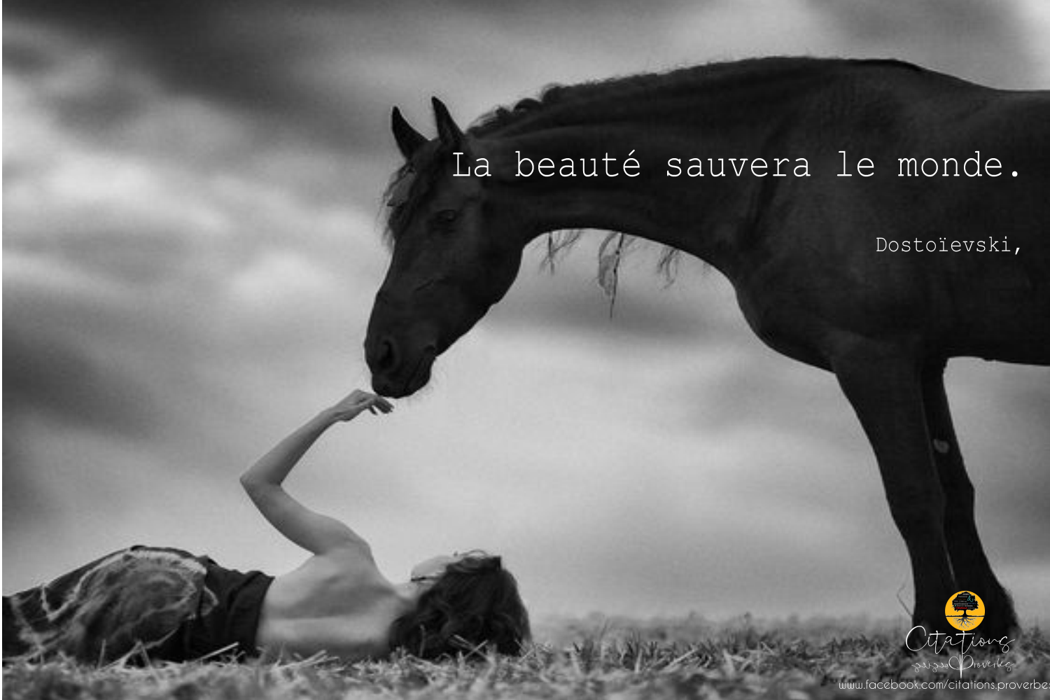 La beauté sauvera le monde. Citations Proverbes et Poésies