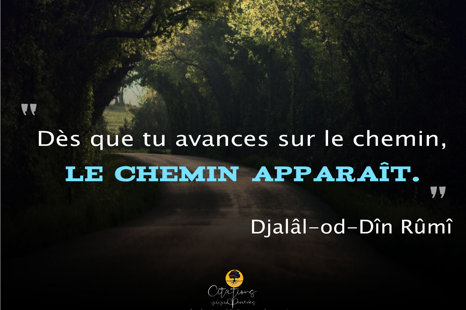 Des Que Tu Avances Sur Le Chemin Citations Proverbes Et Poesies