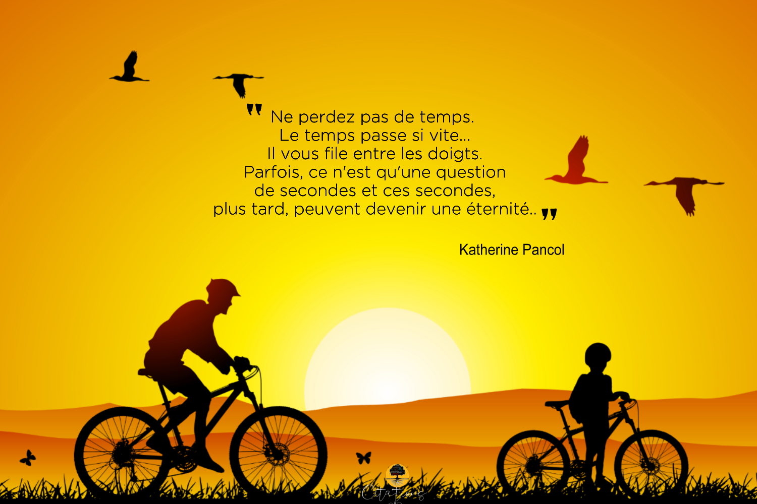 Ne Perdez Pas De Temps. Le Temps Passe Si Vite... - Citations Proverbes ...