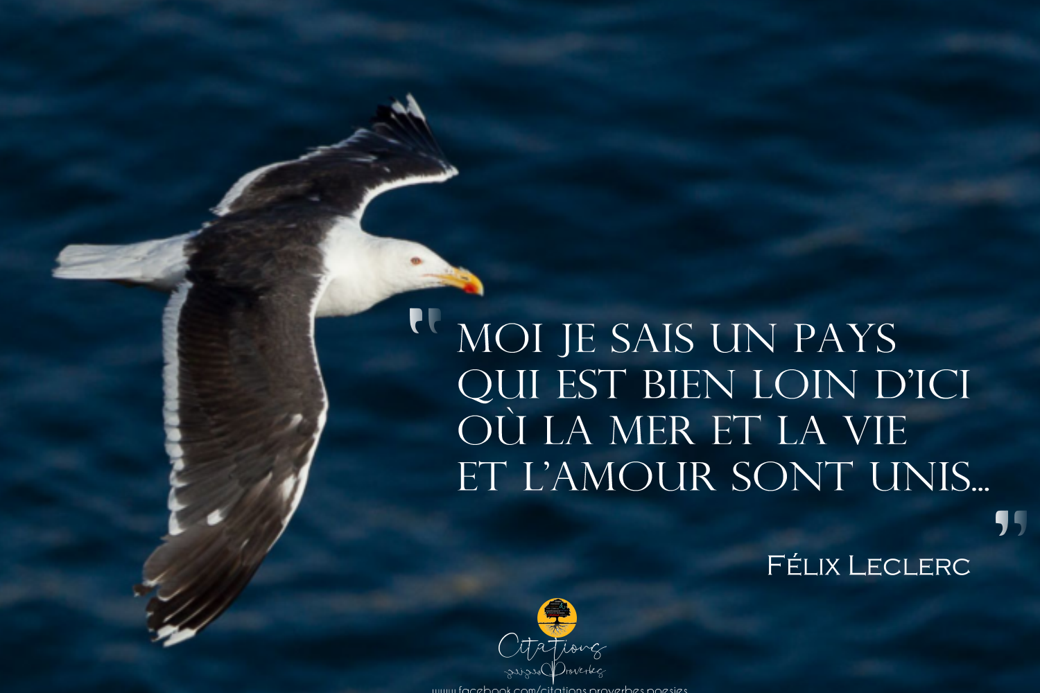 Moi Je Sais Un Pays Citations Proverbes Et Poesies