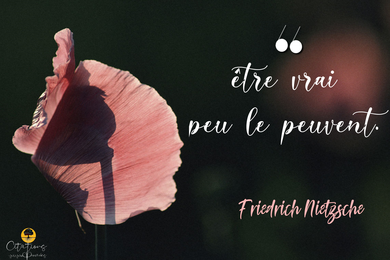 Etre Vrai Peu Le Peuvent Citations Proverbes Et Poesies