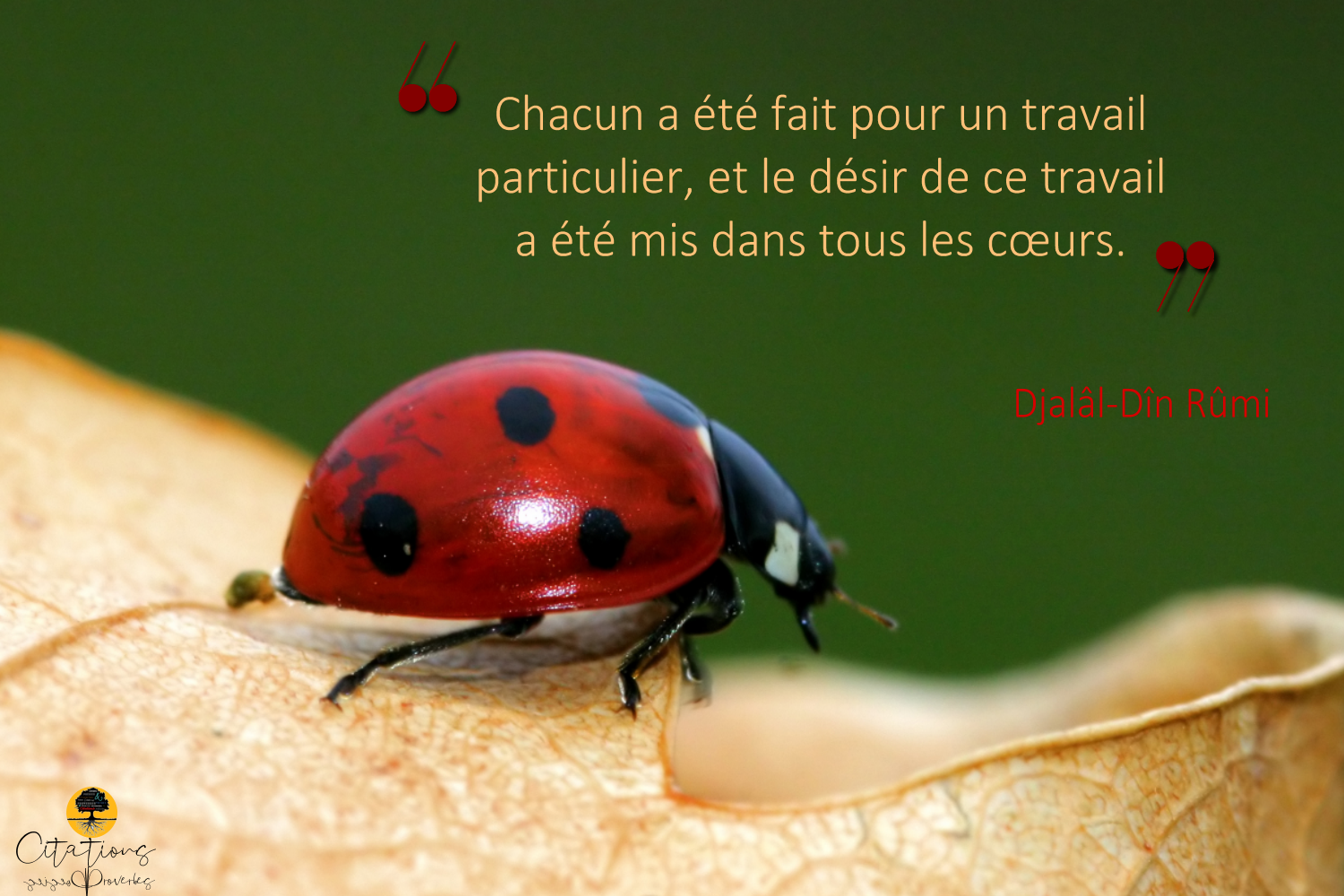 Chacun A Ete Fait Pour Un Travail Particulier Et Le Desir De Ce Travail A Ete Mis Dans Tous Les Cœurs Citations Proverbes Et Poesies