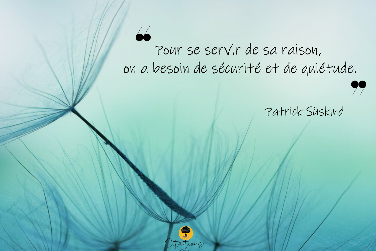 Pour Se Servir De Sa Raison On A Besoin De Securite Et De Quietude Citations Proverbes Et Poesies