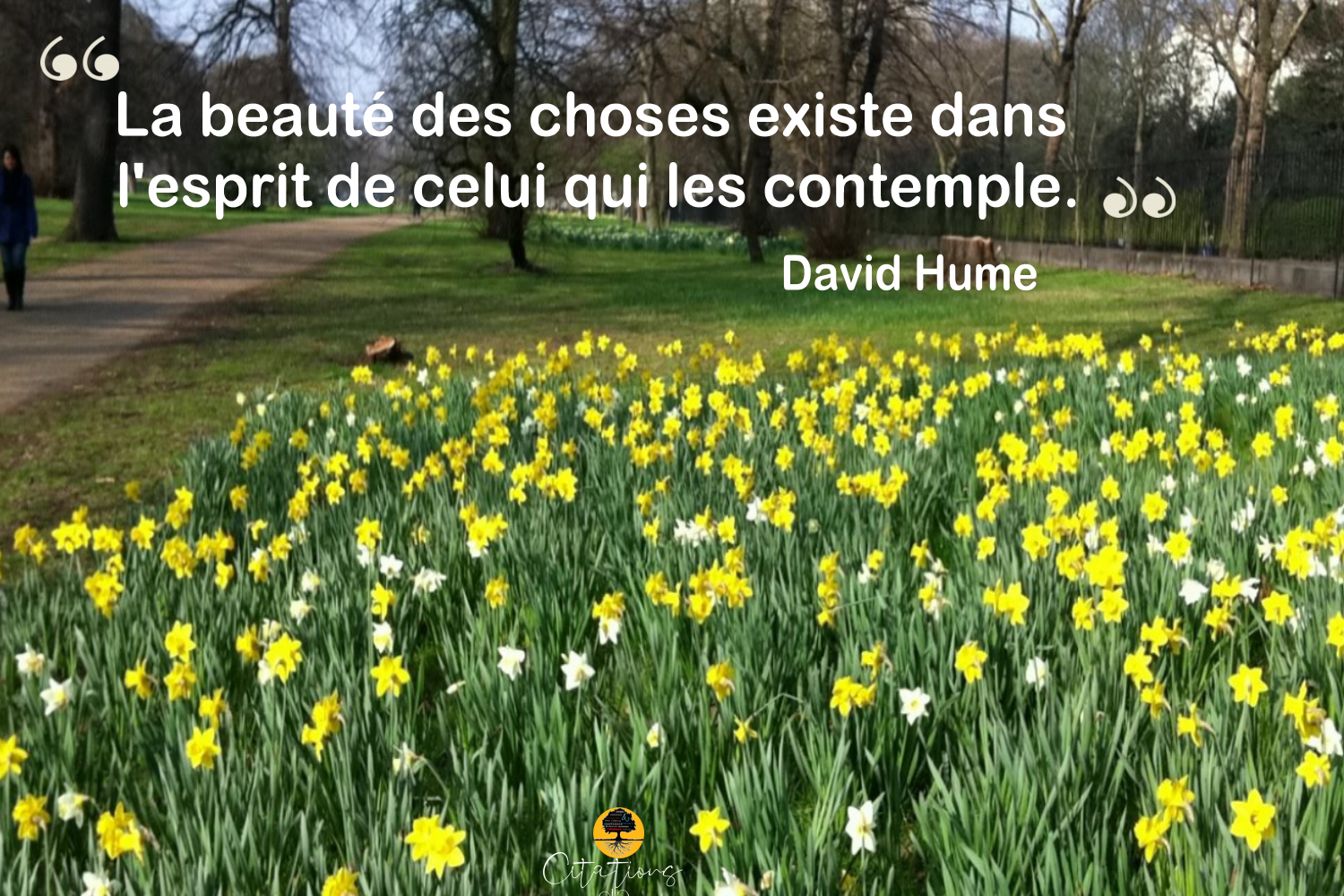 La Beaute Des Choses Existe Dans L Esprit De Celui Qui Les Contemple Citations Proverbes Et Poesies