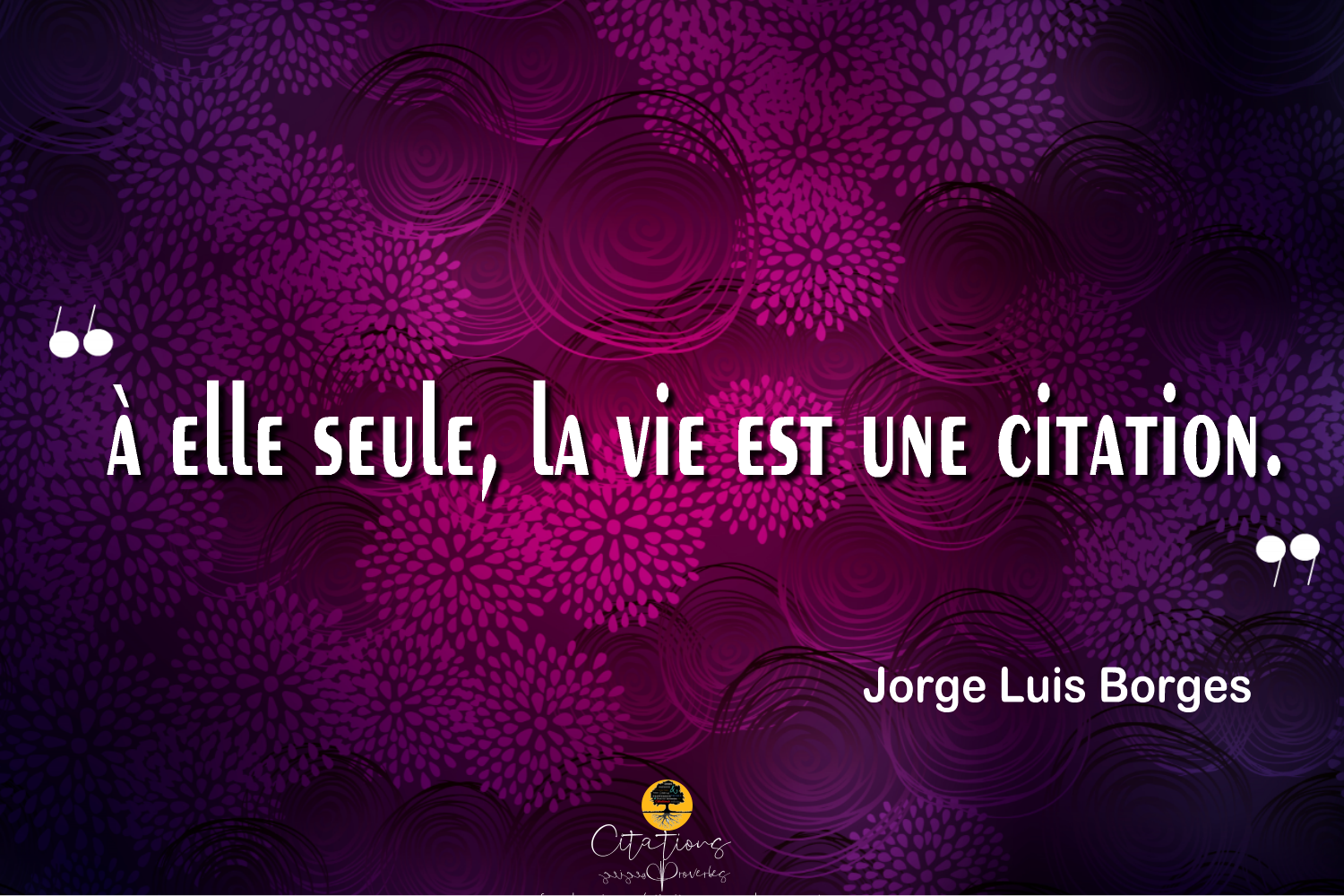 A Elle Seule La Vie Est Une Citation Citations Proverbes Et Poesies