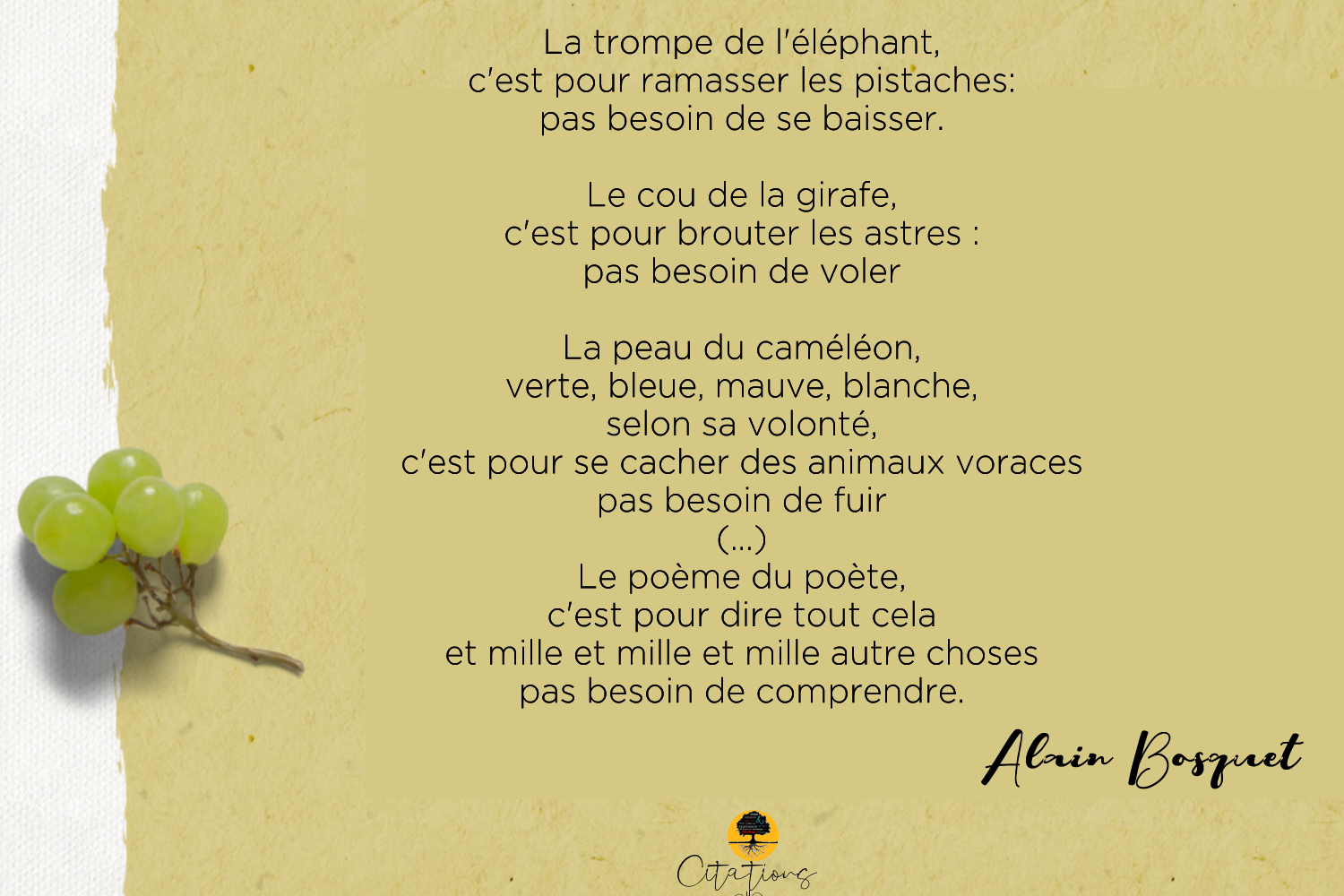 Le Poeme Du Poete C Est Pour Dire Tout Cela Et Mille Et Mille Et Mille Autre Choses Pas Besoin De Comprendre Citations Proverbes Et Poesies