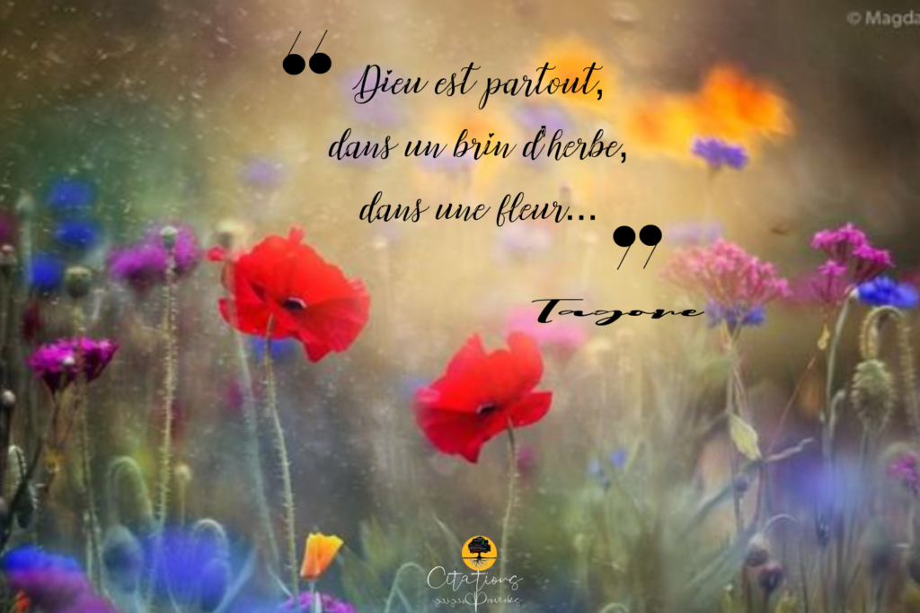 Dieu est partout, dans un brin d�herbe, dans une fleur Dieu est partout, dans un brin d�herbe, dans une fleur