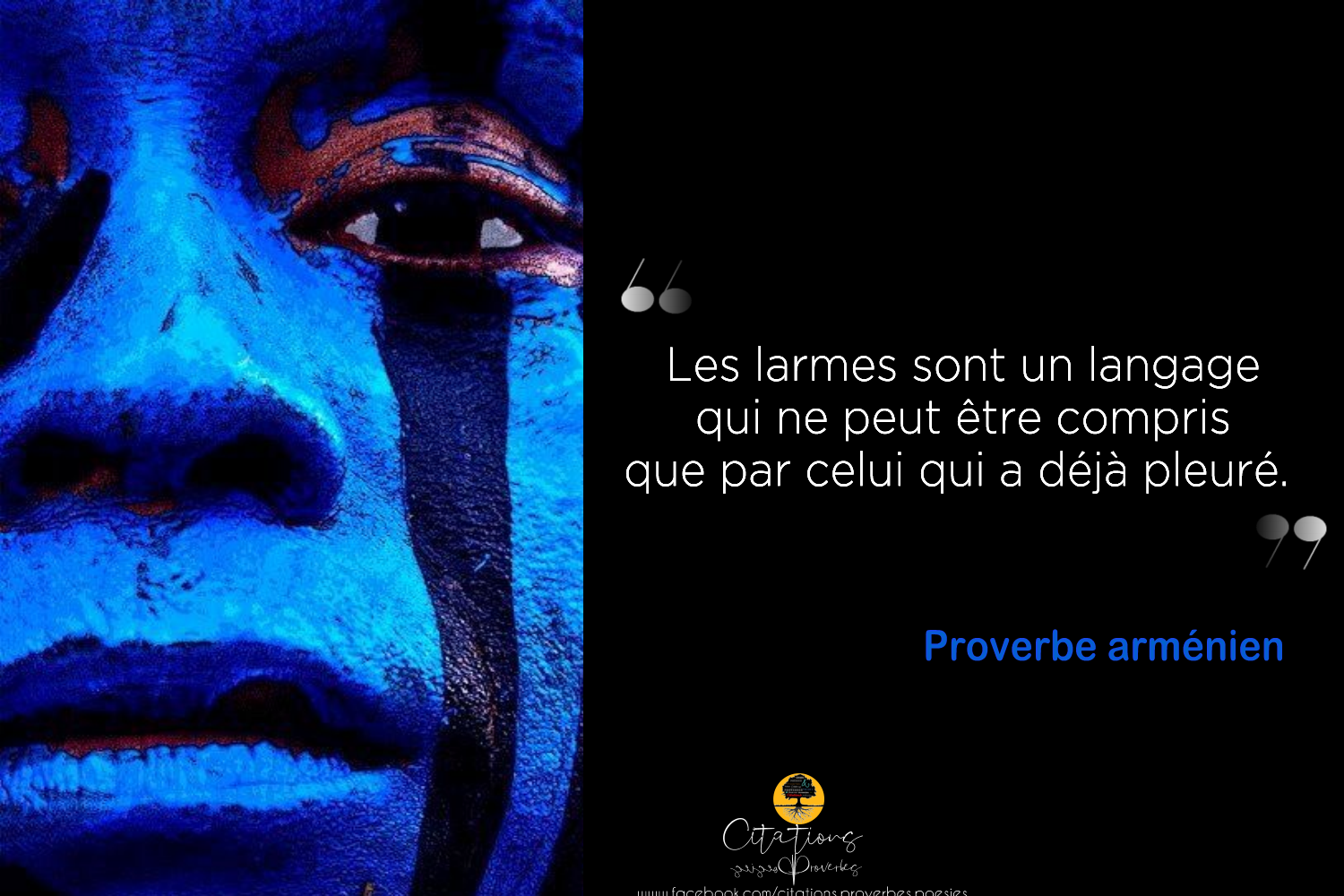 Les Larmes Sont Un Langage Qui Ne Peut Etre Compris Que Par Celui Qui A Deja Pleure Citations Proverbes Et Poesies