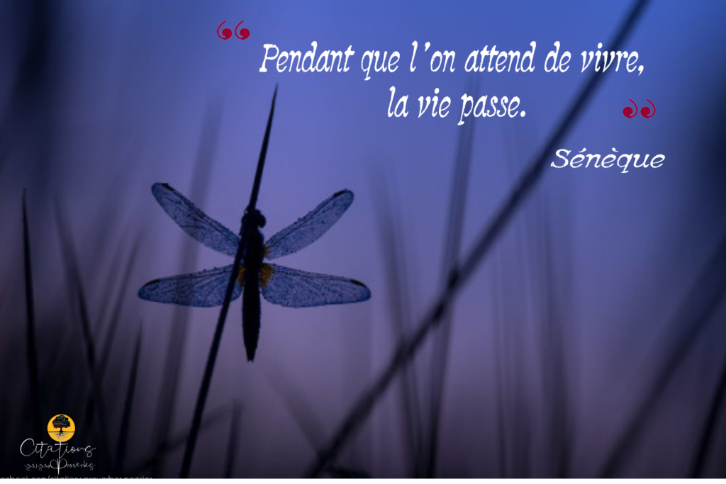 Pendant que l’on attend de vivre, la vie passe. - Citations Proverbes