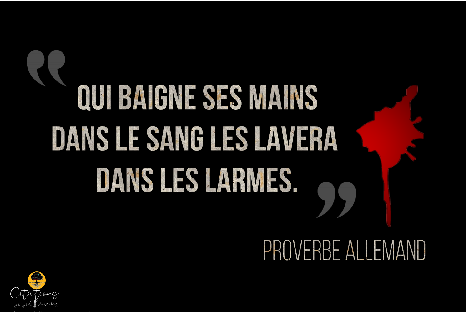 Qui Baigne Ses Mains Dans Le Sang Les Lavera Dans Les Larmes Citations Proverbes Et Poesies