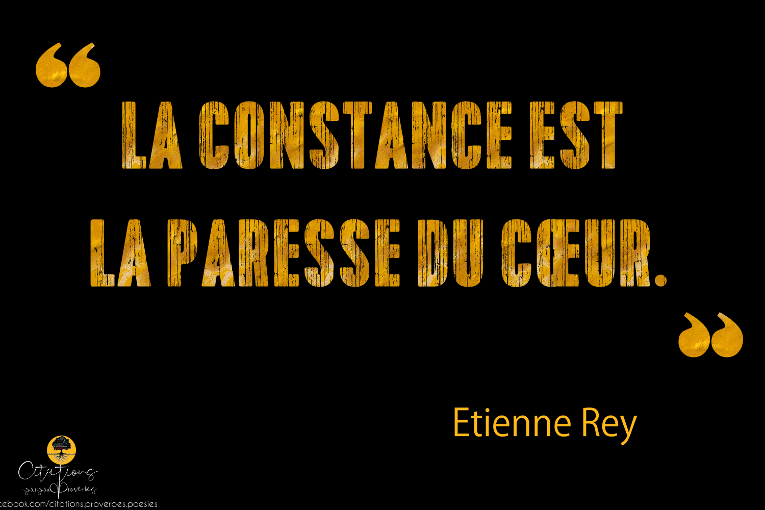 La Constance Est La Paresse Du Cœur Citations Proverbes Et Poesies