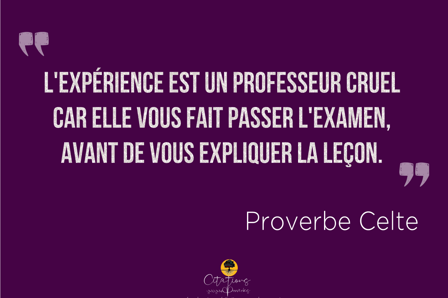 L Experience Est Un Professeur Cruel Car Elle Vous Fait Passer L Examen Avant De Vous Expliquer La Lecon Citations Proverbes Et Poesies