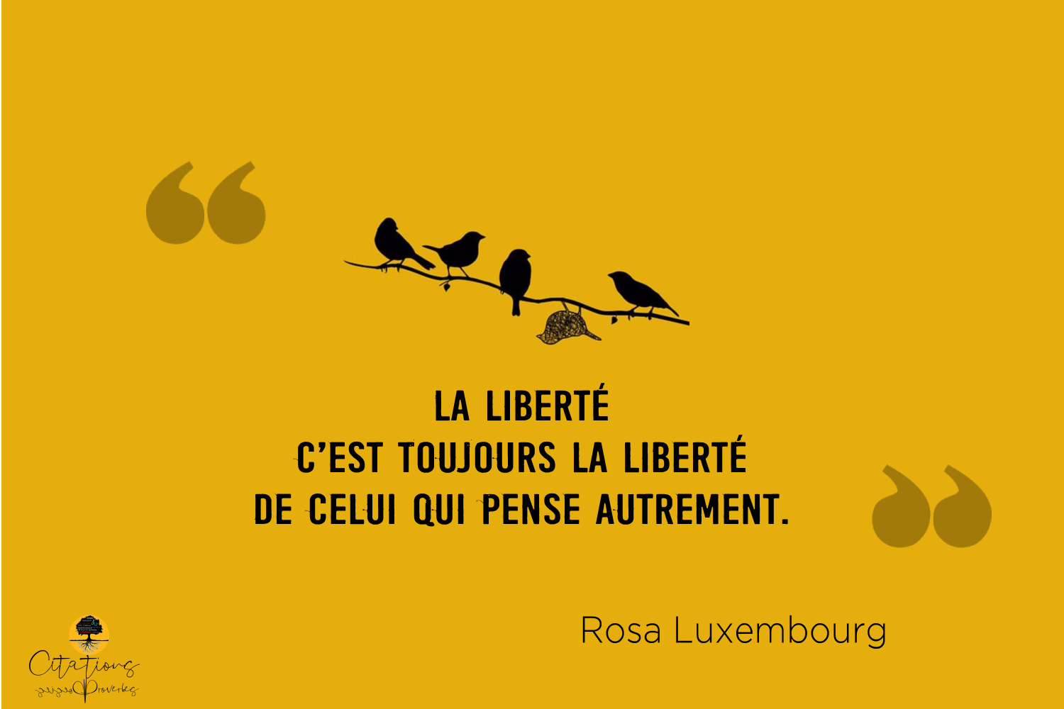 La Liberte C Est Toujours La Liberte De Celui Qui Pense Autrement Citations Proverbes Et Poesies