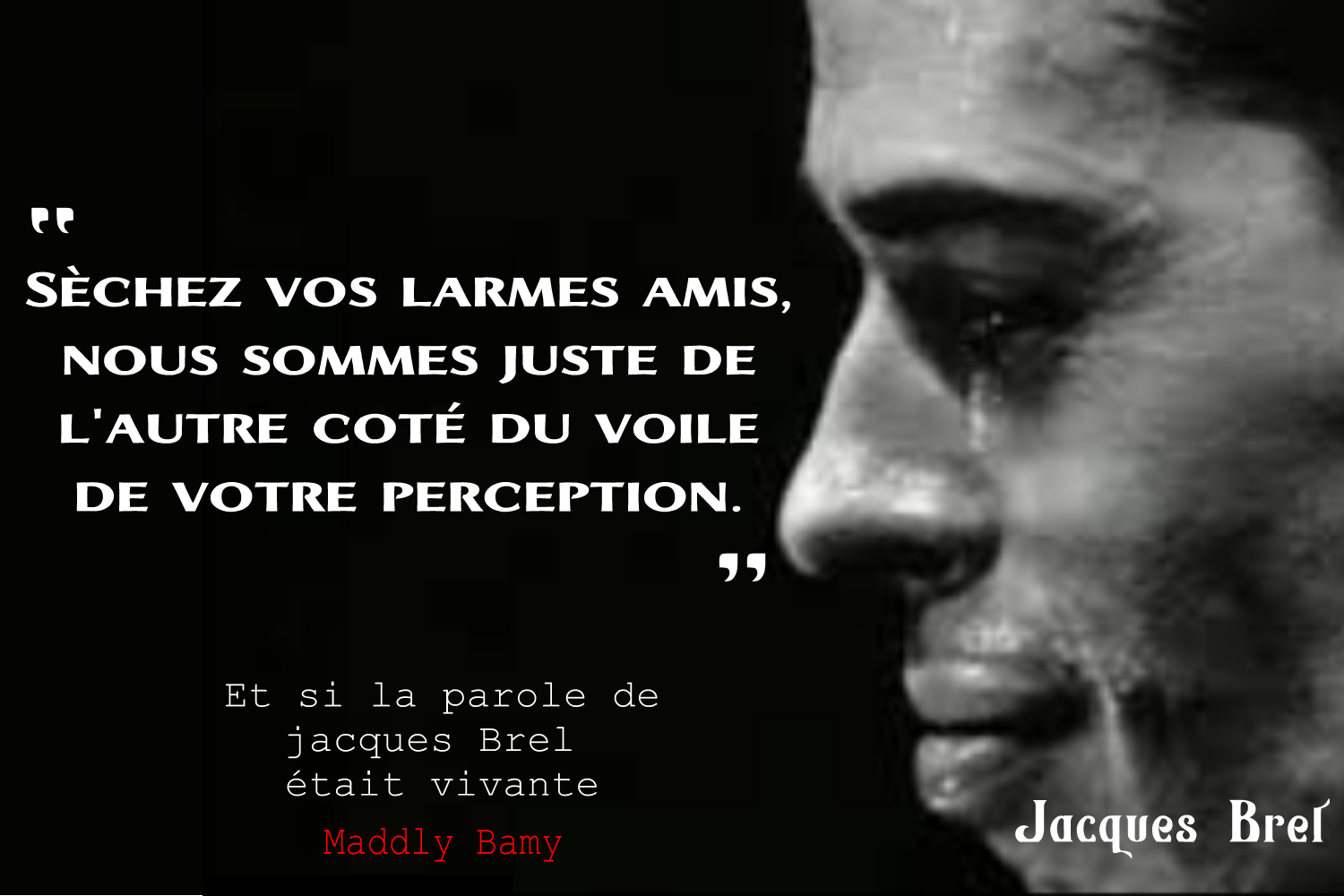 Et Si La Parole De Jaques Brel était Vivante ? Top 10 Des Citations ...