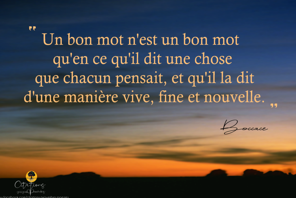 Un bon mot n'est un bon mot qu'en ce qu'il dit une chose que chacun