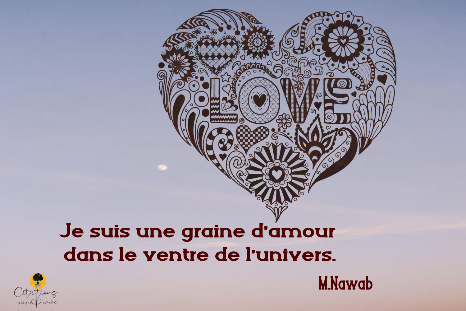 Je Suis Une Graine D Amour Dans Le Ventre De L Univers Citations Proverbes Et Poesies