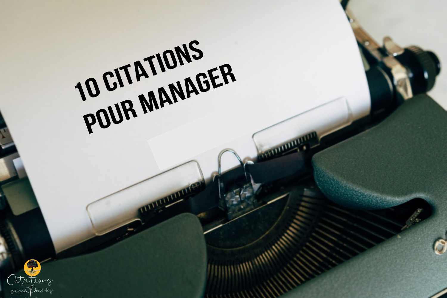 dissertation citation manager