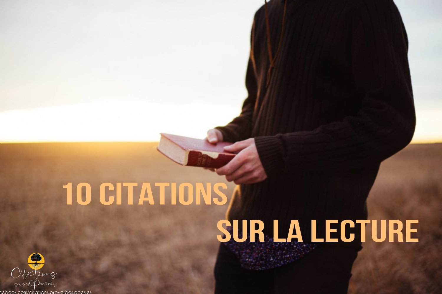 10 Citations Sur La Lecture Citations Proverbes Et Poésies