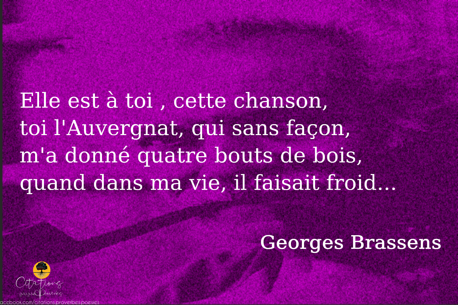 Top 5 Citations De Chansons De Georges Brassens Citations Proverbes Et Poesies