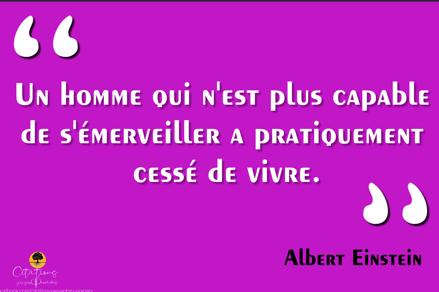 Top 10 Citations Sur L Emerveillement Citations Proverbes Et Poesies