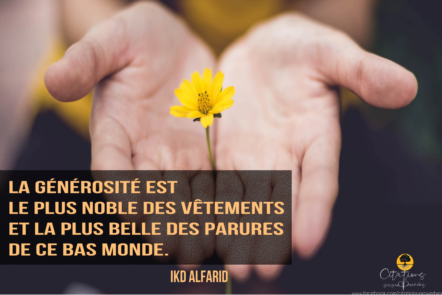 Top 5 Citations Sur Generosite Citations Proverbes Et Poesies