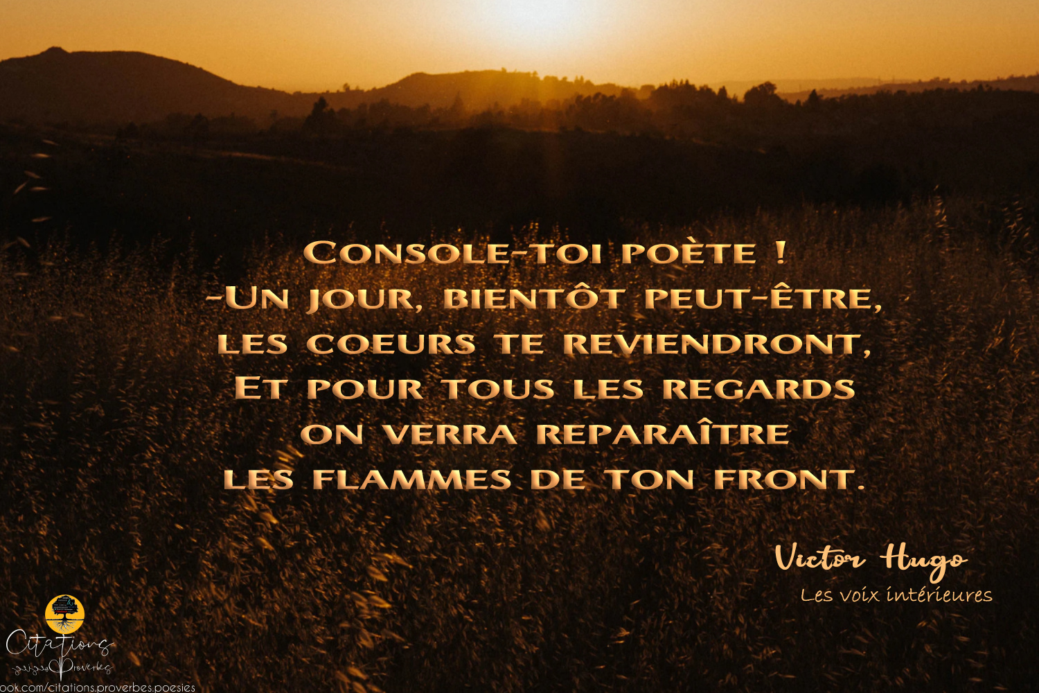 10 Citations Les Voix Interieures Victor Hugo Citations Proverbes Et Poesies