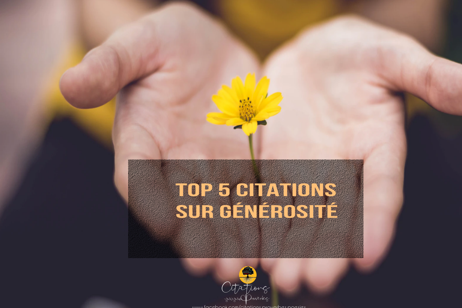 Top 5 Citations Sur Generosite Citations Proverbes Et Poesies
