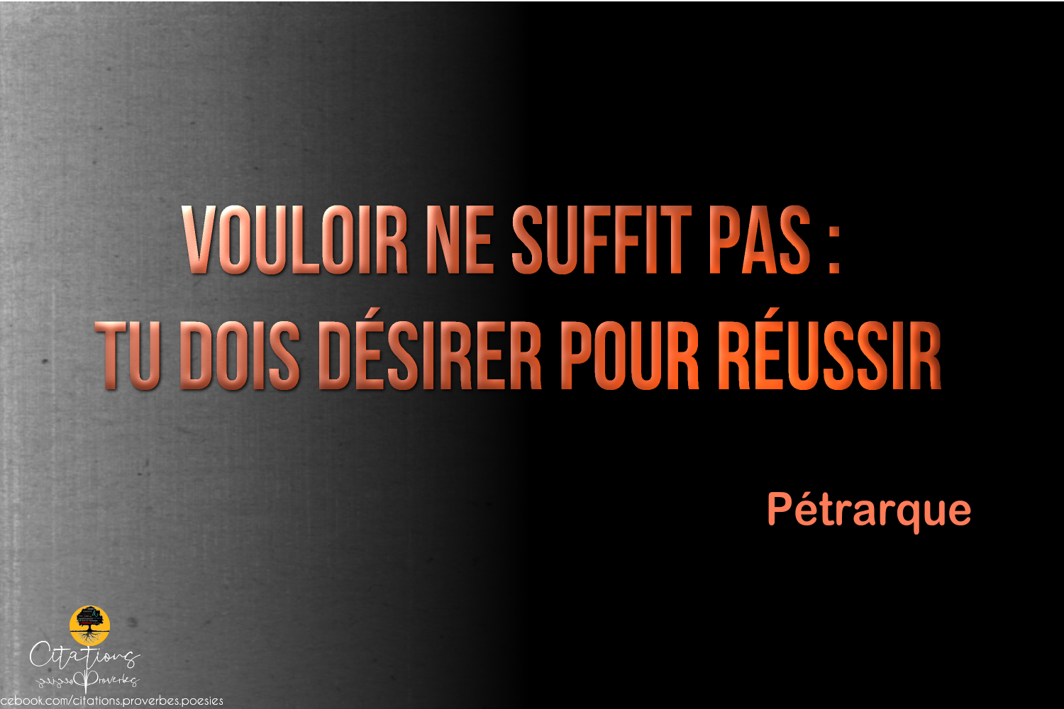 Vouloir Ne Suffit Pas Tu Dois Desirer Pour Reussir Citations Proverbes Et Poesies