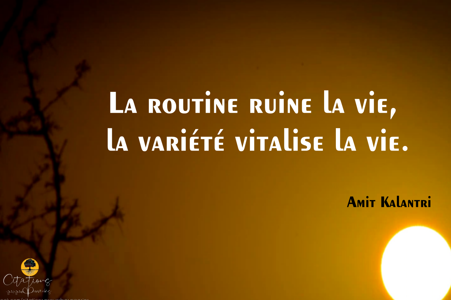 Top 5 Citations De Amit Kalantri Citations Proverbes Et Poesies