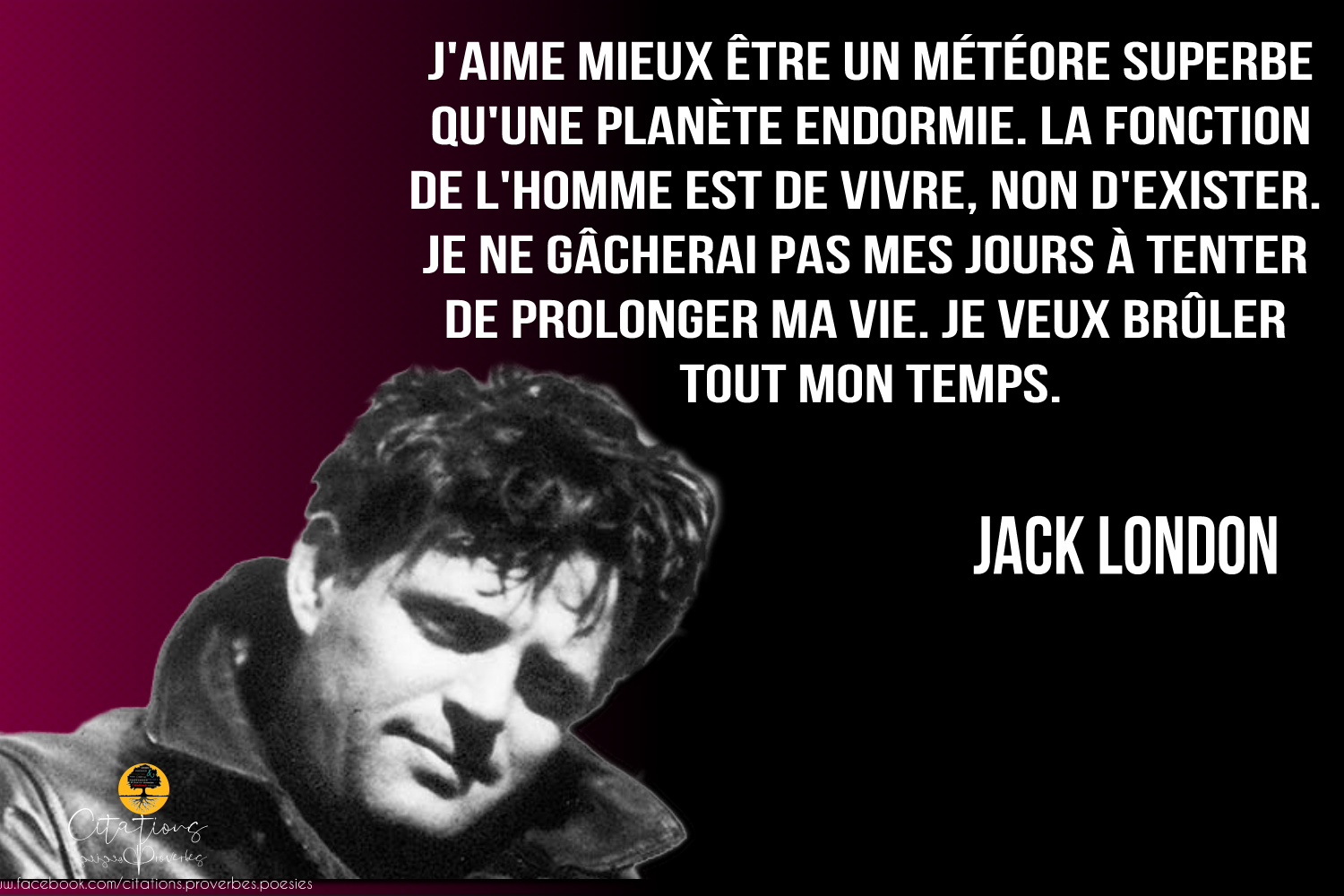 10 Citations De Jack London Citations Proverbes Et Poesies