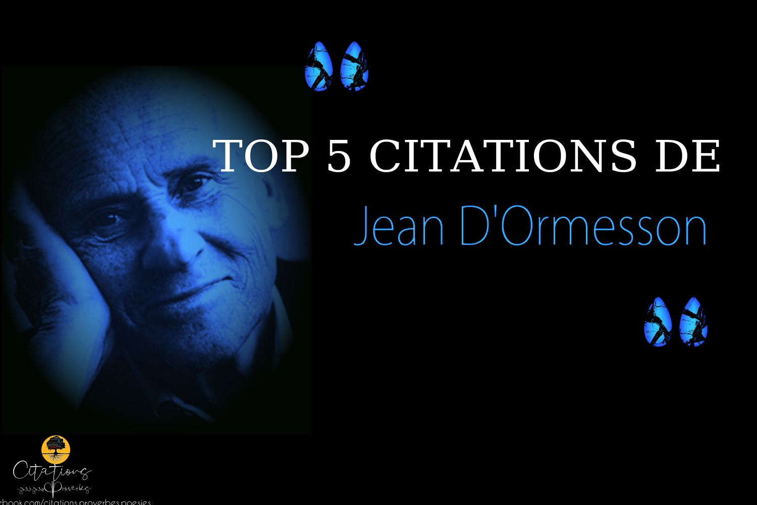 TOP 5 CITATIONS DE Jean D'Ormesson - Citations Proverbes et Poésies