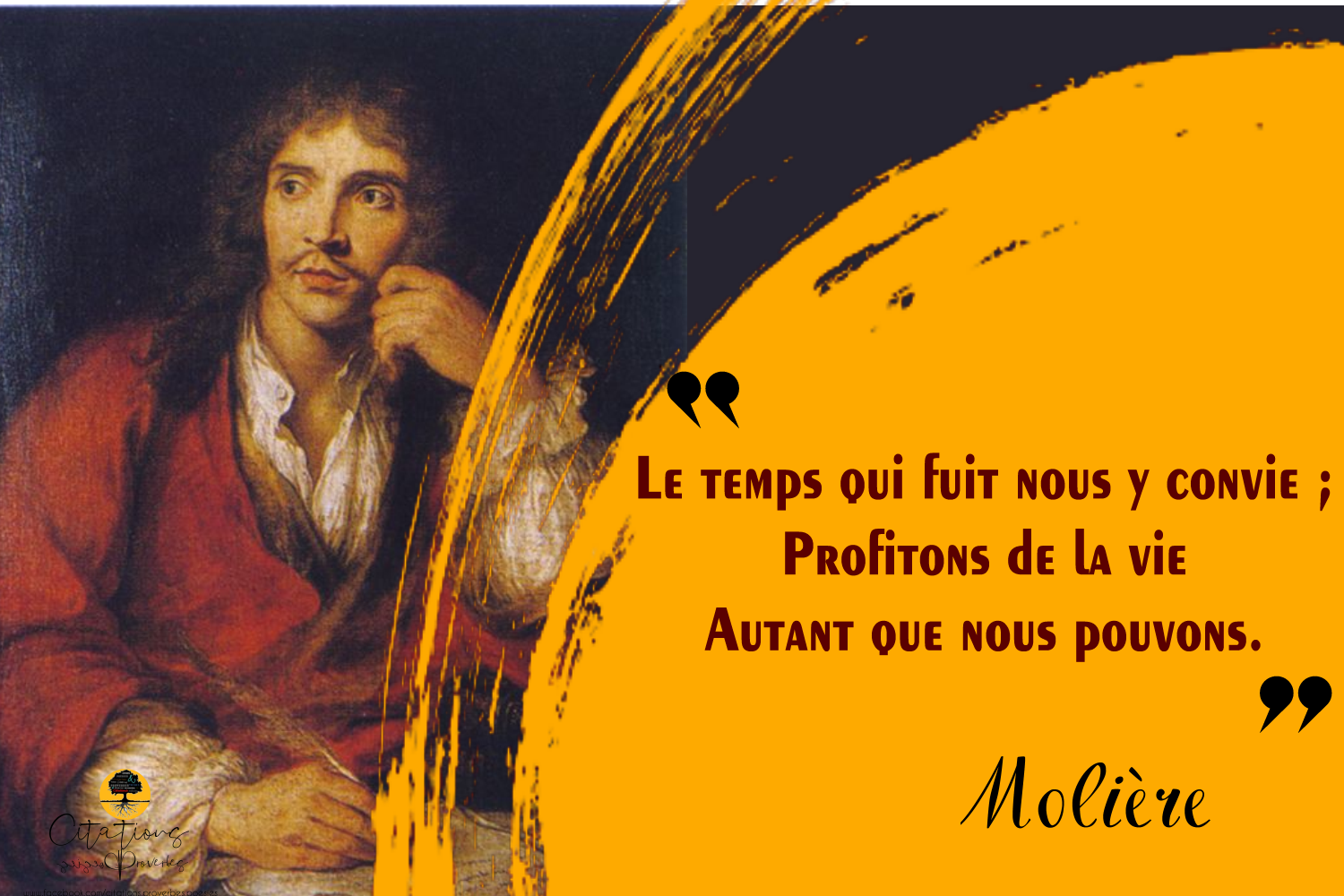 citation dissertation moliere